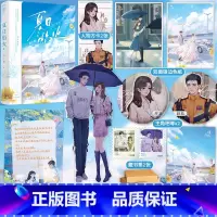 夏日焰火2/印特签+定制赠品 [正版]印特签版 夏日焰火 完结篇 2 帘十里 新增番外 青春文学都市爱情校园暗恋双向救