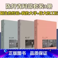 [3册] [正版] 陈丹青局部套装1-2-3 陌生的经验(新版)+我的大学+伟大的工匠 美学中西艺术理论的书籍 西方艺术
