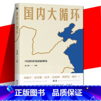 [正版] 国内大循环 中国经济发展新格局 张占斌主编 何毅亭黄奇帆等 中国道路发展趋势 经济理论发展书籍