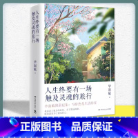 [正版]人生终要有一场触及灵魂的旅行 毕淑敏著 湖南文艺出版社 中国文学散文 中国现当代文学心理治愈散文随笔 书籍小说