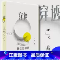 [正版] 穿透:像社会学家一样思考 严飞 清华大学社会学家 中国社会图景 社会学概论理论 社会学的想象力 书籍 理
