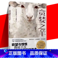 [正版] 贪婪之羊 美轮和音 五个短篇小说含第七届都市传说心理惊悚抑压推理书写暗流涌动的人性侦探悬疑推理小说书籍