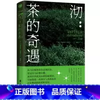 沏:茶的奇遇 [正版]茶文化知识科普书任选 沏:茶的奇遇 宋茶 茶经全新评注彩图版 茶之书 茶道全书 国粹图典-茶艺 茶