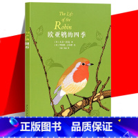 [正版] 《欧亚鸲的四季》 大卫·拉克著作 鸟类学 知更鸟的一生科普 动物植物鉴别赏析书读小库系列 读库