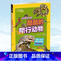 酷酷的爬行动物 [正版] 美国国家地理 酷酷的爬行动物 百科全书7-10岁儿童科普百科大全书小学生一二三年级课外阅读