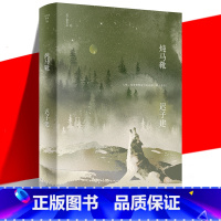 [正版] 炖马靴 迟子建作品 茅盾文学奖鲁迅文学奖得主 迟子建近年新作及部分回忆性的短篇小说集书 额尔古纳河右岸