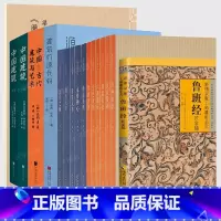 建筑史诗第二卷 [正版] 建筑系列套装任选16册 中国古现代世界建筑赏析材料风格图像历史研究书籍 王南建筑史诗 通识教育