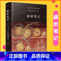 [正版] 秘密笔记 阿尔芭·德·塞斯佩德斯 婚姻和家庭道德和规训的不安之书 外国小说文学 人民文学出版社