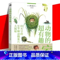 [正版]动物的家超有趣! 铃木守的109种动物巢穴大揭秘 (日)铃木守 日本科普作家神奇动物自然百科动物鸟巢防御动物巢