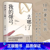 [正版] 我的弹弓去哪了 一本以10种童年流行玩具为线索架构全书故事 讲述童年记忆 具有非虚构特征的小说 书籍