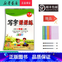 语文 一年级上 [正版]2024秋司马彦字帖写字课课练一年级上人教天津彩色版