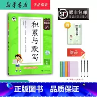 语文 一年级上 [正版] 2024秋 新版 5.3小学基础练积累与默写 语文 一年级上册