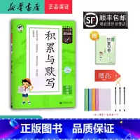 语文 四年级上 [正版] 2024秋 新版 5.3小学基础练积累与默写 语文 四年级上册