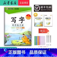 语文 七年级上 [正版] 2024秋 墨点字帖 写字同步练习册 七年级上册 人教版