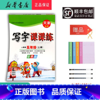 数学 五年级上 [正版]2024秋司马彦字帖写字课课练五年级上人教天津彩色版
