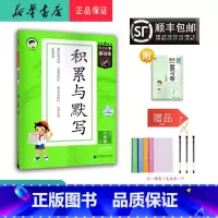 语文 六年级上 [正版] 2024秋 新版 5.3小学基础练积累与默写 语文 六年级上册