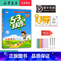 语文 五年级上 [正版] 2024秋 新版 5.3 天天练 语文 五年级上册 人教版