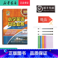 [正版] 2023秋 新版 小老虎图书 小学英语同步 三年级上册