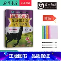 英语 九年级/初中三年级 [正版] 2024新版 新黑马阅读 英语阅读组合与写作训练 九年级