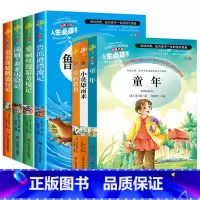 [赠考点六年级上册下册全套7册快乐读书吧 [正版]快乐读书吧六年级下必读全4册6年级鲁滨逊漂流记爱丽丝漫游奇境尼尔斯骑鹅