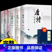 [6册]唐诗宋词元曲+飞花令里读诗词 [正版]全套3册 唐诗宋词三百首鉴赏辞典元曲全集小学生必背300首幼儿启蒙一百首7