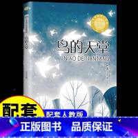 鸟的天堂 [正版]鸟的天堂 巴金原著 五年级上册阅读课外书的小学语文书目 小学生巴金读本散文精选巴金的书下册课外阅读书籍