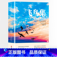 飞鸟集 [正版]飞鸟集泰戈尔原著无删减双语生如夏花诗选选集新月集中英双语版全新彩图典藏英汉对照郑振铎译初高中生阅读语文课