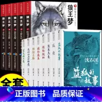[全套13册] 狼王梦+动物小说 [正版]抖音同款狼王梦沈石溪全套5册 漫画版画本动物小说全集大王三年级四五六年级下册阅