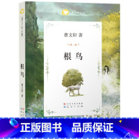 根鸟 [正版] 根鸟 课外书 曹文轩四五六年级课外阅读书籍 9-12岁读物 小学生3-6年级课外读物 儿童文学故事书 儿