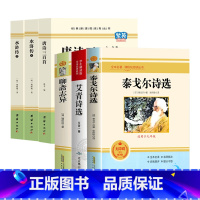 [必读+选读赠考点]九年级上册6册 [正版]九年级2册 简爱和儒林外史吴敬梓原著完整版必读初三课外书初中课外阅读书籍上册