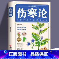 [正版]伤寒论 白话彩图典藏版 中医自学入门古籍医学书中医基础理论知识书籍全书伤寒杂病论 伤寒杂病论白话文古代医学经典