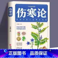 [正版]伤寒论 白话彩图典藏版 中医自学入门古籍医学书中医基础理论知识书籍全书伤寒杂病论 伤寒杂病论白话文古代医学经典