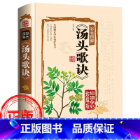 [正版]汤头歌诀白话解中医配方中药汤头歌张景宗原版配方国学典藏中医食疗食养药学百科全书家庭工具书食疗膳补书籍汤头歌决老
