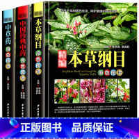 [正版]精编3册本草纲目中草药中国药典原彩色图谱图鉴精装中医基础理论医学入门常用中药方剂药材草药识别大全古代医药百科全