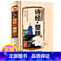 [正版]诗经+楚辞2合1原著全集译注礼析读风雅颂楚辞全集校释春秋孔子等编选沐言非主编图解详析