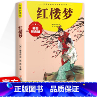 [彩图注音]红楼梦 [正版]彩图注音 红楼梦小学生版 儿童版一二三四年级6-10岁经典文库 四大名著红楼梦水浒传西游记三