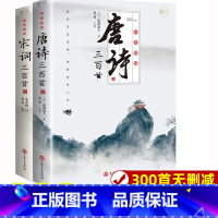 [正版]唐诗三百首 宋词三百首 全彩全集完整版无删减300首 带注释译文赏析附插图 中国传统文化国学启蒙诗词鉴赏课外阅