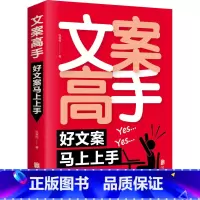 [正版] 文案高手 张笑恒 软文创作 新媒体运营 电商广告文案撰写指导 内容创作运营 文案大手笔 书店