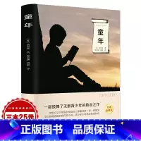 [正版] 童年 高尔基 六年级有声伴读 世界名著 外国小说文学青少年课外读物初中小学生课外阅读书籍文学名著励志