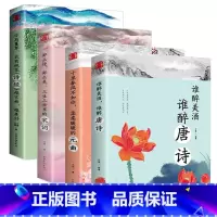 [正版]全4册 中国美古诗词大全 谁醉美酒谁醉诗词 诗经鉴赏书籍 三生三世里的宋词 十里春风不如你 全套经典古诗词畅