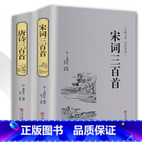 [正版]精装唐诗三百首宋词三百首全集2本 文白对照注释赏析典藏版中国古诗词书籍宋词鉴赏词典辞典赏析唐诗宋词 中华诗词中