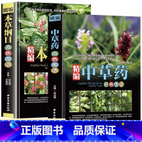 [正版]全2册精编中草药+本草纲目原色图谱中草药全图鉴速查手册图谱中国药材图鉴大全常用中草药识别应用原色图片中医学书籍