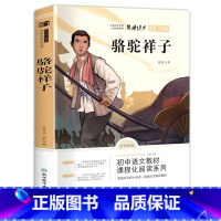 骆驼祥子 [正版]骆驼祥子原著 老舍 小学生 五年级六七年级课外阅读书籍必读老师 书目 大奖儿童文学 小说书 3-4