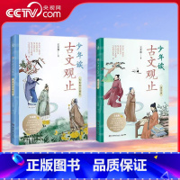 [央视网]少年读古文观止 全彩四色趣味解读 古文观止 深挖文言文知识点 带青少年读透古文 TJ [正版]央视网少年读古文
