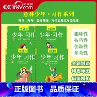 意林少年习作全四册(4本塑封套) [正版]央视网少年习作4本 笔尖上的自然课+拐角遇见成长+我记得你的样子+爱在光年之外