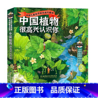 全4册 [正版]央视网中国植物很高兴认识你全4册 儿童自然百科通识绘本5-12岁小学生科普启蒙 中国动物很高兴认识你四季
