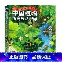 全4册 [正版]央视网中国植物很高兴认识你全4册 儿童自然百科通识绘本5-12岁小学生科普启蒙 中国动物很高兴认识你四季