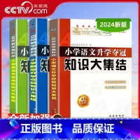 小升初知识大集结 语数外三册 小学升初中 [正版]央视网2024全国68所小学语文升学夺冠知识大集结 小升初全新加强版基