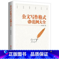 [正版]央视网公文写作格式与范例大全 新版 为公文写作提供规范的整体解决方案 将公文从写作到整理归档系统有序化 HY
