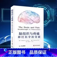 [正版]DF央视网脑组织与疼痛 神经科学的突破 深度剖析疼痛通路与大脑回路的关系 周围神经和皮节 脑的解剖 中国科学技